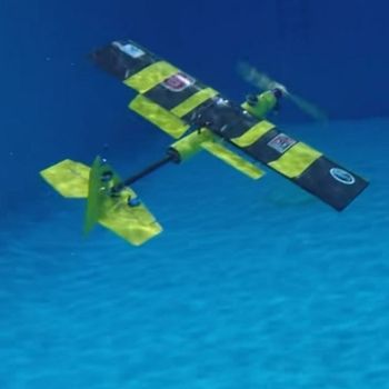 EagleRay XAV