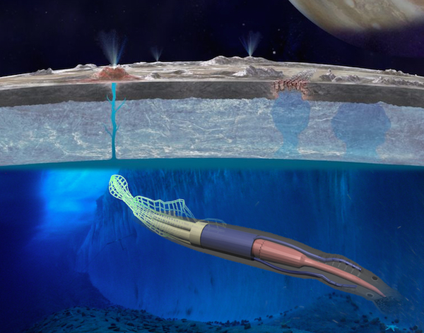 Roboeel
