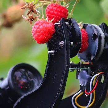 Raspberry-Harvesting Robot
