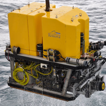 Remora ROV
