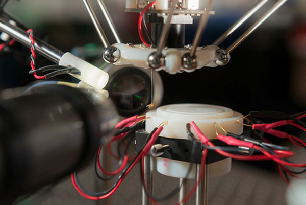 Robotic Fly Catcher