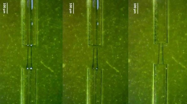 Self-repairing Stress Sensor