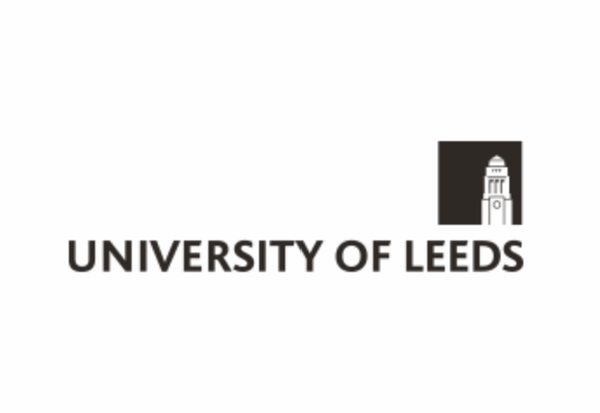 The Impact of Recycled Concrete Fines on the Engineering Performance of Cementitious Infill