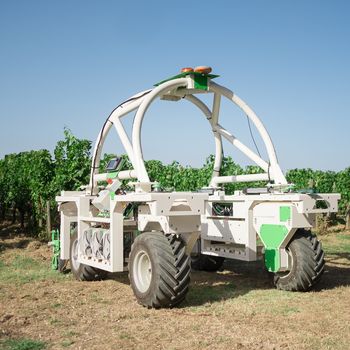 TED- Multifunctional straddling vineyard robot.