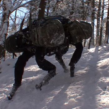 Quadruped