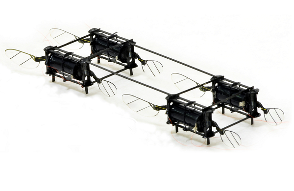 Insect Drone
