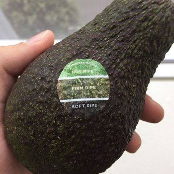 Avocado Colour Chart