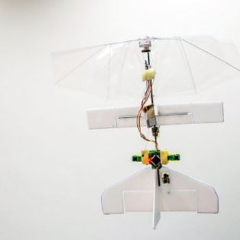DelFly Explorer