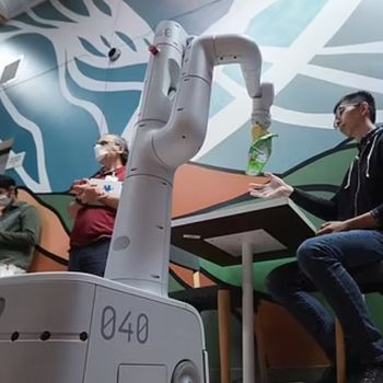 Google Robot Home Helper