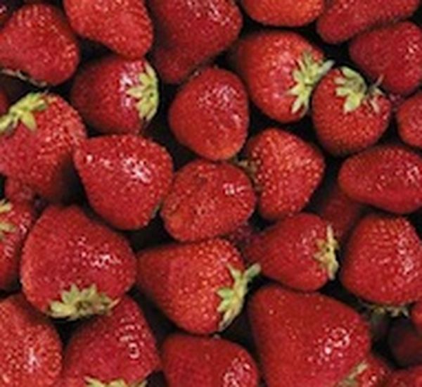Irradiated fruit