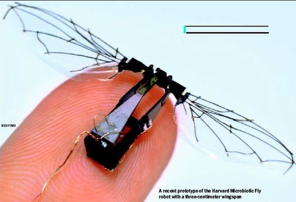 Microrobotic Fly