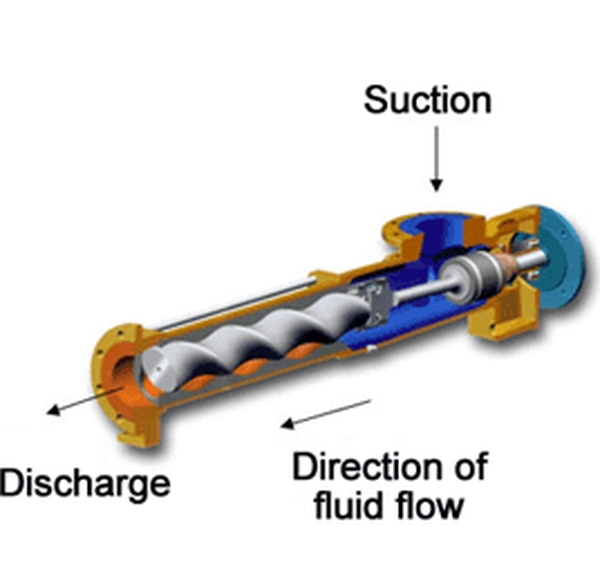 Cavity Pump