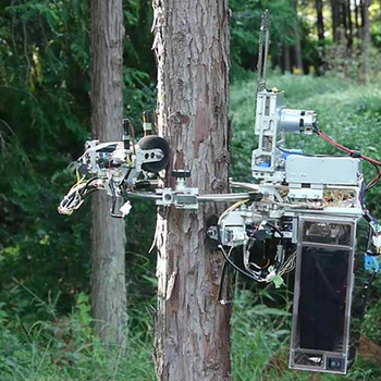 Pruning Robot