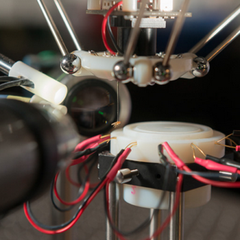 Robotic Fly Catcher
