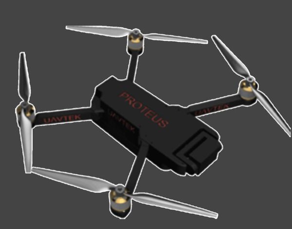 Proteus