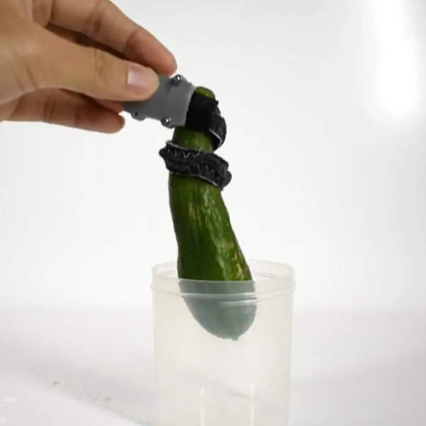 Robotic Snake Gripper