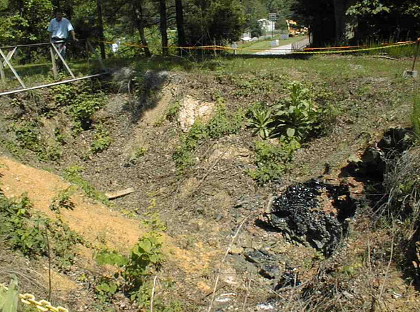In Situ Vitrification