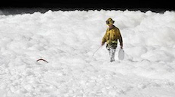 Foam suppressant