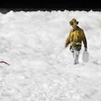 Foam suppressant