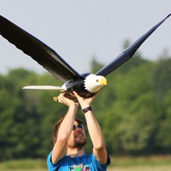 Robirds