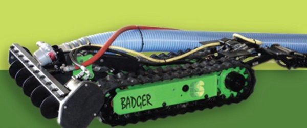 Badger