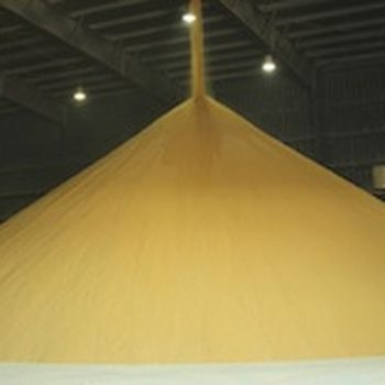 Ozone to destroy toxins in corn