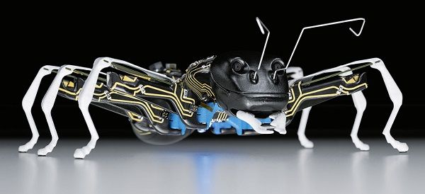 BionicANTs