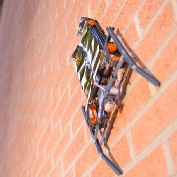 Electrostatic wall climber
