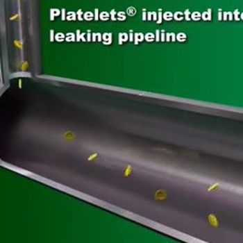 Platelets