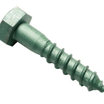 Coach Screw