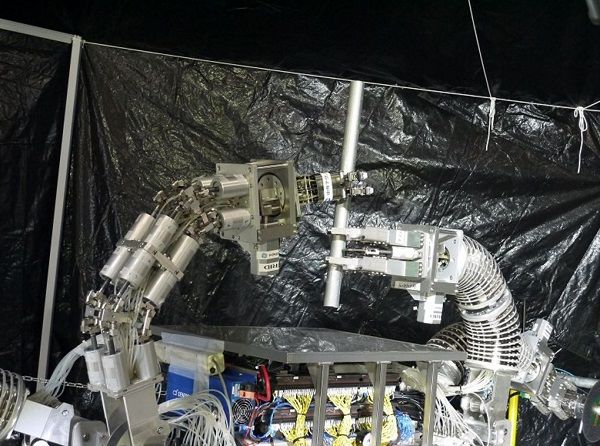 Flexible Structure Arm (Muscular Robot)
