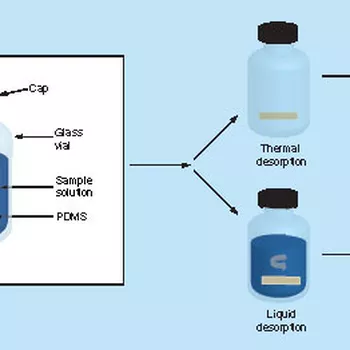 Stir bar sorptive extraction (SBSE)