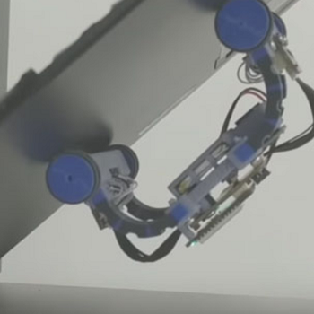 Bridge Bot