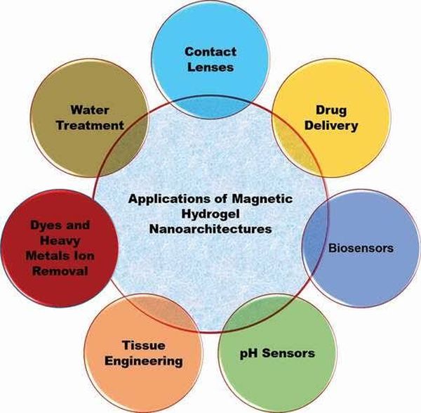 Magnetic Hydrogel