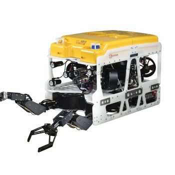 Cougar XT
