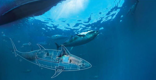 BIOSwimmer