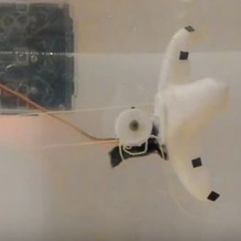 Starfish Robot