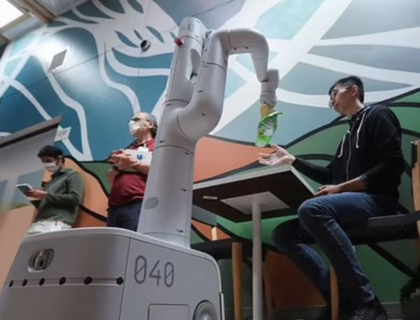 Google Robot Home Helper