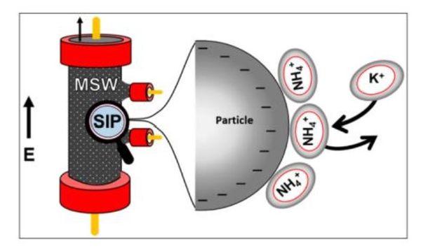 Spectral Induced Polarization