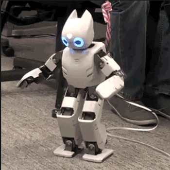 Darwin-OP Humanoid Research Robot