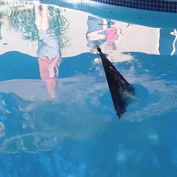 Flying Fish
