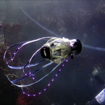 Squidbot