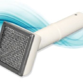 ZnS Scintillator