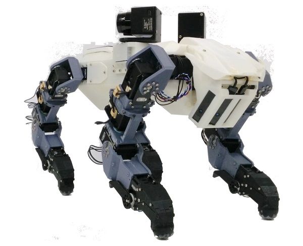Ladder Climbing Robot