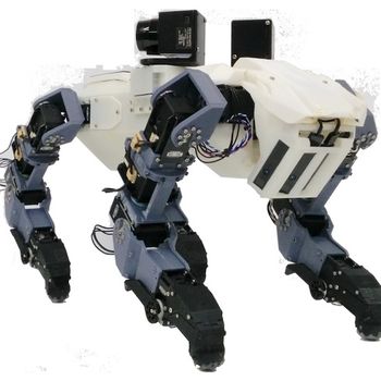 Ladder Climbing Robot