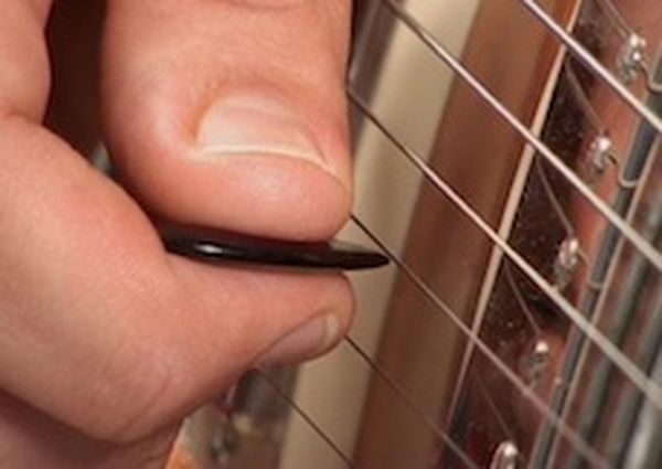 Plectrum