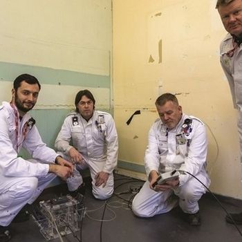 Dounreay Snake Robot