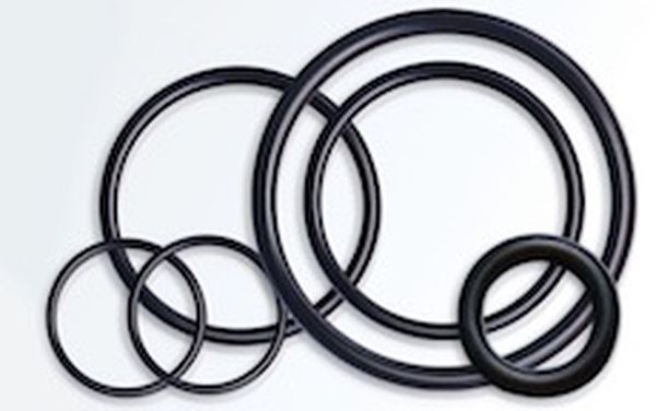 Oval and complex shaped O-rings