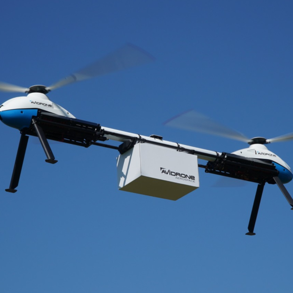 Avidrone 210TL