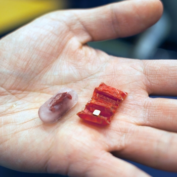Ingestible origami robot